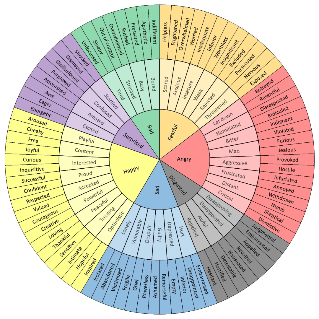 The Feelings Wheel